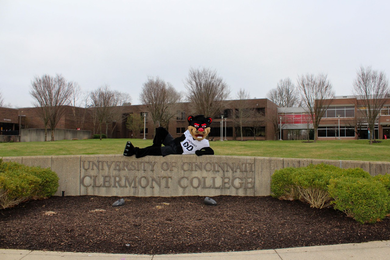 The Bearcat lays on the University of Cincinnati Clermont College welcome sign