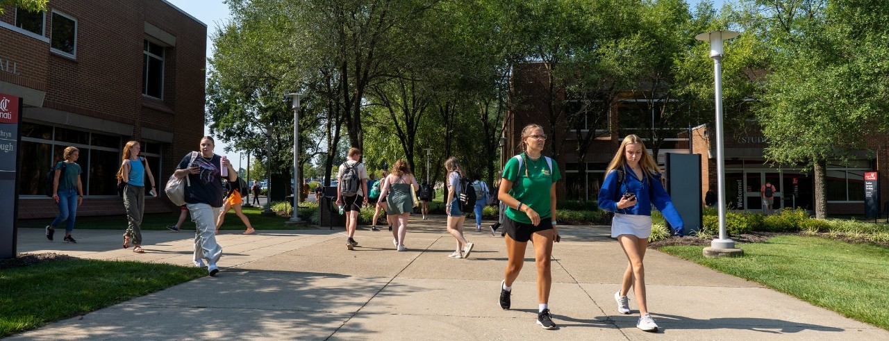 campus in summer